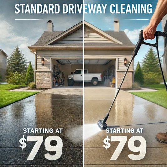Standard Driveway Cleaning